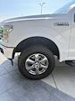 2020 Ford F-150 SuperCrew Cab 4x4 Pickup for sale #DT5191A - photo 29