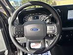 2024 Ford F-350 Crew Cab SRW 4WD Pickup for sale #DT5305A - photo 14