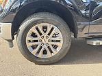 New 2025 Ford F-150 XLT SuperCrew Cab 4WD Pickup for sale #DT5346 - photo 35