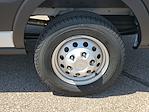 2025 Ford Transit 250 Medium Roof AWD Empty Cargo Van for sale #F6339 - photo 6