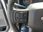 2025 Ford F-350 Regular Cab SRW 4WD Plow Truck for sale #F6369 - photo 16