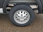 New 2026 Ford Transit 250 Medium Roof Empty Cargo Van for sale #F6549 - photo 6
