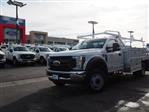 New 2019 Ford F-450 XL 2WD Reg Cab 169 WB 84 CA Regular Cab 4x2 12' Scelzi Contractor Truck for sale #KDA27632 - photo 1