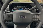2024 Ford F-250 Regular Cab RWD Pickup for sale #REE47048 - photo 17