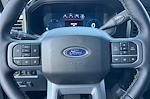 2025 Ford F-250 Crew Cab 4WD Pickup for sale #SEC37709 - photo 25