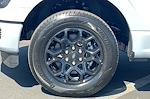 New 2025 Ford F-150 STX SuperCrew Cab Pickup for sale #SKE25611 - photo 23