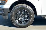 New 2025 Ford F-150 STX SuperCrew Cab 4WD Pickup for sale #SKF50236 - photo 24