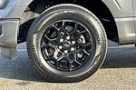 New 2026 Ford F-150 STX SuperCrew Cab for sale #TKD12509 - photo 25