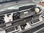 New 2025 Chevrolet Express 2500 Empty Cargo Van for sale #S1271137 - photo 33