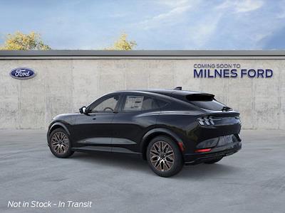 2025 Ford Mustang Mach-E AWD SUV for sale #6397 - photo 2