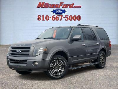 2010 Ford Expedition 4x4 SUV for sale #P5705A - photo 1