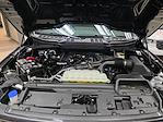 New 2025 Ford F-150 STX SuperCrew Cab for sale #04T3079 - photo 16