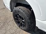 New 2025 Ford F-150 STX SuperCrew Cab 4x4 Pickup for sale #04T3163 - photo 16