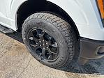 New 2025 Ford F-150 STX SuperCrew Cab 4x4 Pickup for sale #04T3163 - photo 17
