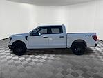 New 2025 Ford F-150 STX SuperCrew Cab 4x4 Pickup for sale #04T3163 - photo 8
