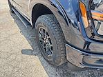 New 2025 Ford F-150 XLT SuperCrew Cab 4x4 Pickup for sale #04T3178 - photo 13