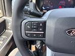 New 2025 Ford F-150 XLT SuperCrew Cab 4x4 Pickup for sale #04T3178 - photo 33