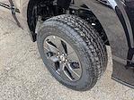 New 2025 Ford F-150 STX SuperCrew Cab 4x4 Pickup for sale #04T3233 - photo 14