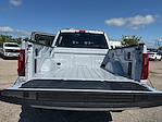 2025 Ford F-150 SuperCrew Cab 4x4 Pickup for sale #04T3277 - photo 27