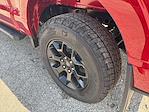 New 2025 Ford F-150 STX SuperCrew Cab 4WD Pickup for sale #04T3317 - photo 14