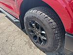 New 2025 Ford F-150 STX SuperCrew Cab 4WD Pickup for sale #04T3317 - photo 16