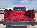 New 2025 Ford F-150 STX SuperCrew Cab 4WD Pickup for sale #04T3317 - photo 26