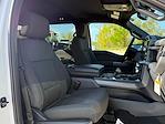 New 2025 Ford F-150 XLT SuperCrew Cab 4WD Pickup for sale #04T3335 - photo 21