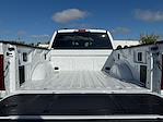 New 2025 Ford F-150 XLT SuperCrew Cab 4WD Pickup for sale #04T3335 - photo 29