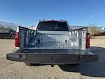 2025 Ford F-150 SuperCrew Cab 4WD Pickup for sale #04T3425 - photo 28