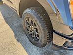 New 2025 Ford F-150 STX SuperCrew Cab 4WD Pickup for sale #04T3437 - photo 16