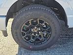 New 2025 Ford F-150 XLT SuperCrew Cab for sale #04T3509 - photo 15