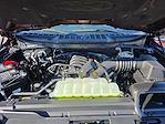 2025 Ford F-150 SuperCrew Cab 4WD Pickup for sale #04T3510 - photo 16