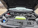 New 2025 Ford F-150 XLT SuperCrew Cab for sale #04T3523 - photo 16