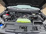 New 2025 Ford F-150 XLT SuperCrew Cab for sale #04T3524 - photo 16