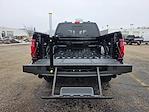 New 2025 Ford F-150 STX SuperCrew Cab for sale #04T3525 - photo 20