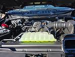2025 Ford F-150 SuperCrew Cab 4WD Pickup for sale #04T3531 - photo 16