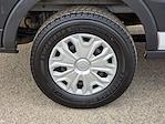 2017 Ford Transit 250 Medium Roof RWD Empty Cargo Van for sale #04T3544A - photo 6