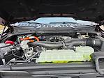2025 Ford F-150 SuperCrew Cab 4WD Pickup for sale #04T3561 - photo 16