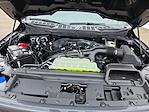 New 2025 Ford F-150 STX SuperCrew Cab for sale #04T3578 - photo 16