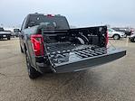 New 2025 Ford F-150 STX SuperCrew Cab for sale #04T3578 - photo 17