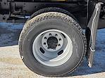 New 2025 Ford F-350 Regular Cab Stainless Steel Dump Truck for sale #04T3594 - photo 13
