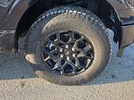 New 2025 Ford F-150 XLT SuperCrew Cab for sale #04T3615 - photo 6