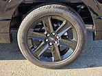 New 2025 Ford F-150 STX SuperCrew Cab for sale #04T3669 - photo 14