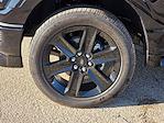 New 2025 Ford F-150 STX SuperCrew Cab for sale #04T3669 - photo 15