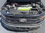 New 2025 Ford F-150 XLT SuperCrew Cab for sale #25M01585 - photo 35