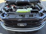 New 2025 Ford F-150 XLT SuperCrew Cab for sale #25M01824 - photo 35