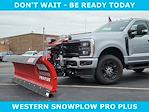 2024 Ford F-250 Regular Cab 4WD, Western Snowplow Plow Truck for sale #240132 - photo 6