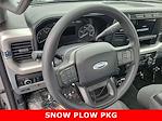 2024 Ford F-250 Regular Cab 4WD, Western Snowplow Plow Truck for sale #240132 - photo 14