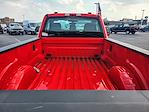 2024 Ford F-250 Regular Cab 4WD Western Plow Truck for sale #240133 - photo 23