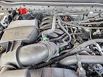 2024 Ford F-250 Regular Cab 4WD Western Plow Truck for sale #240133 - photo 25